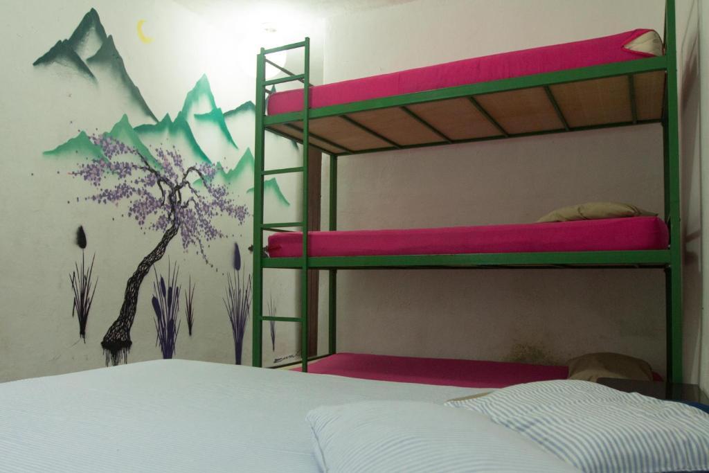 El Misti Hostel Ilha Grande Ngoại thất bức ảnh